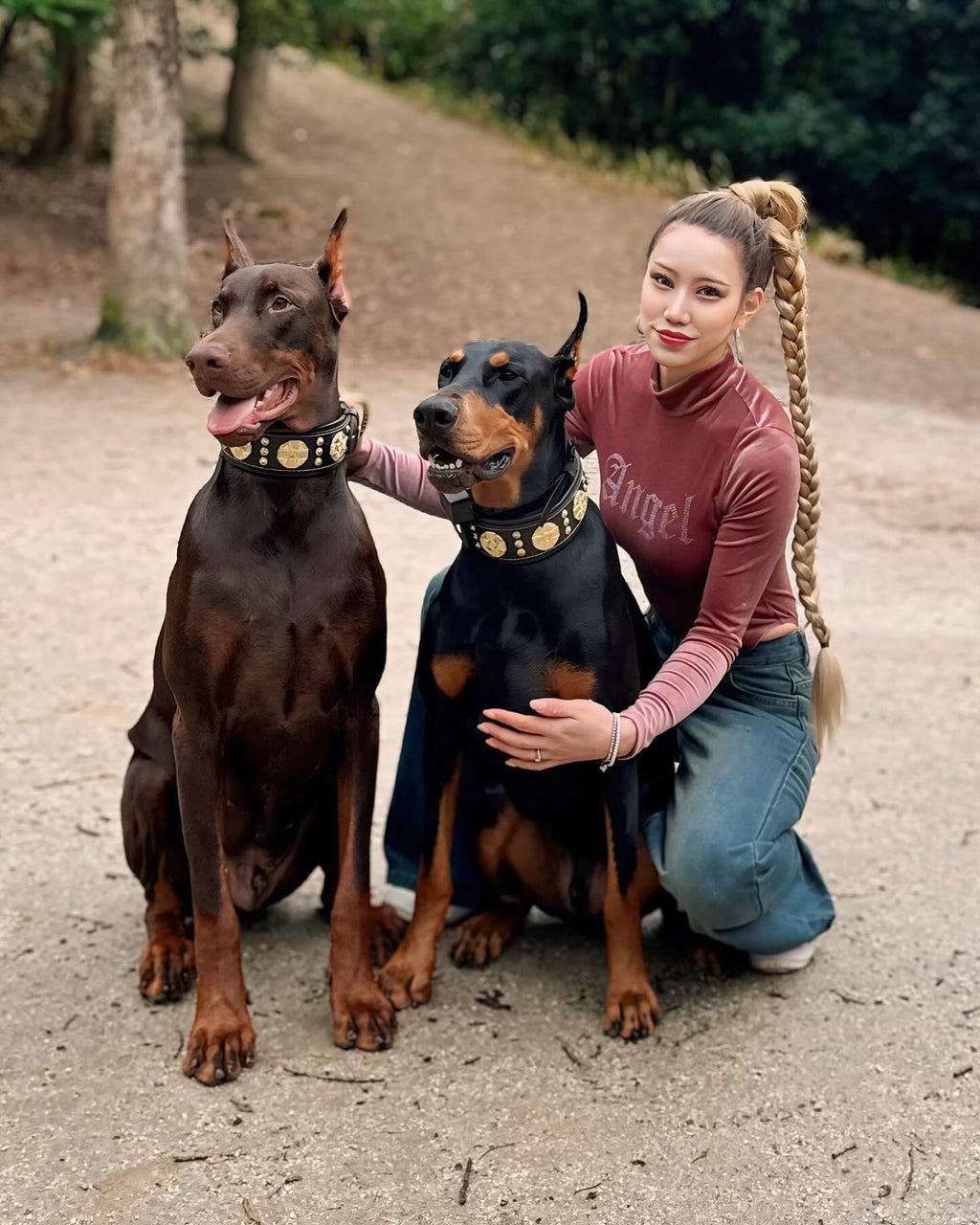 The "Maximus" collar 2.5 inch wide black & gold